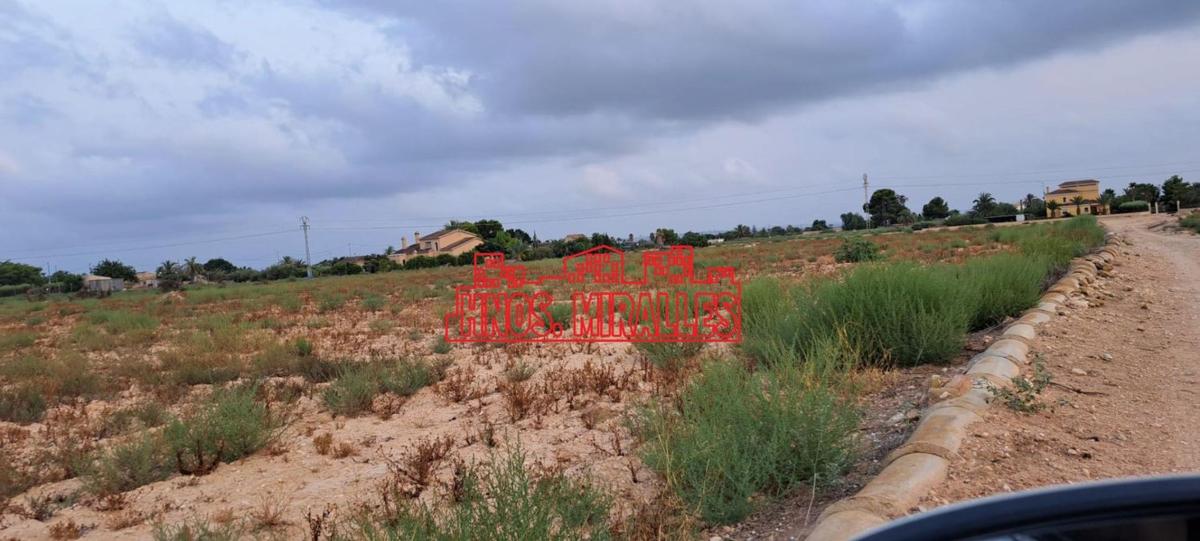 Działka na sprzedaż w Elche / Elx, Alicante photo 1