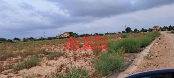 Terreno en Algoda-Matola-Llano de San José, Elche / Elx photo 1