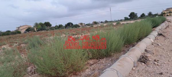 Terreno en Algoda-Matola-Llano de San José, Elche / Elx photo 2