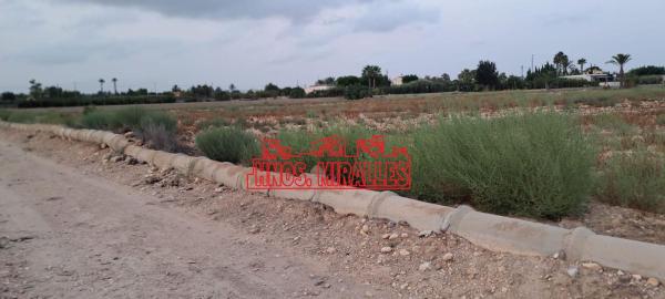 Terreno en Algoda-Matola-Llano de San José, Elche / Elx photo 3