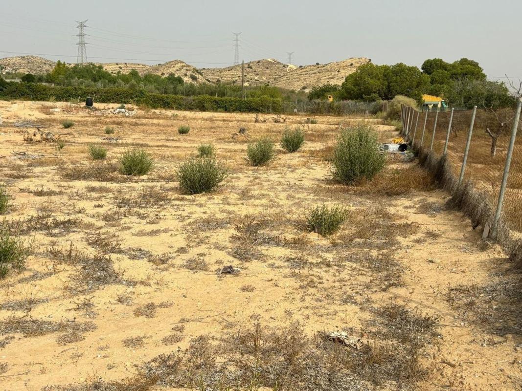 Terreno en venta en Elche / Elx, Alicante photo 5