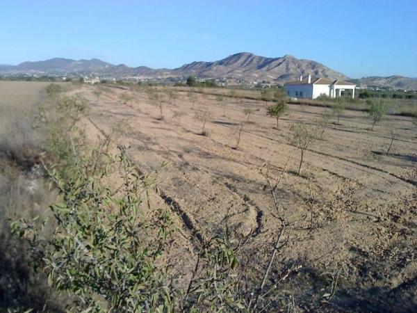 Terreno en San Juan, Aspe thumbnail 2
