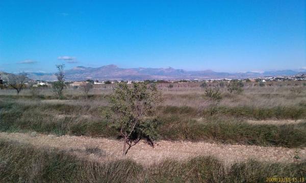 Terreno en San Juan, Aspe thumbnail 3