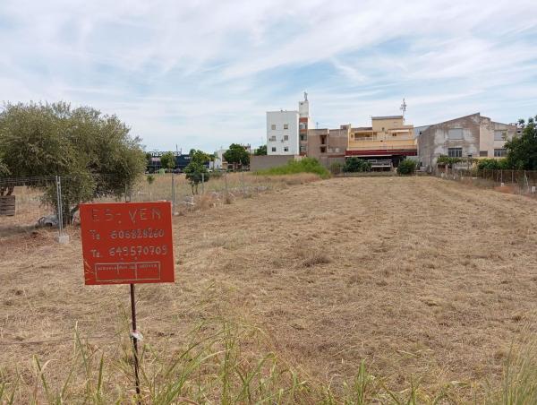 Terreno en Avenida Valencia, 11 a, El Verger photo