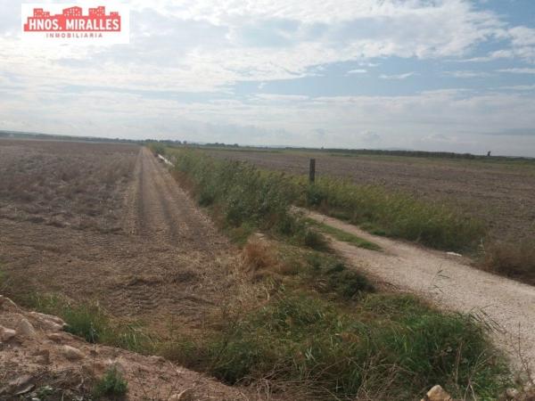 Terreno en Almoradí photo 4
