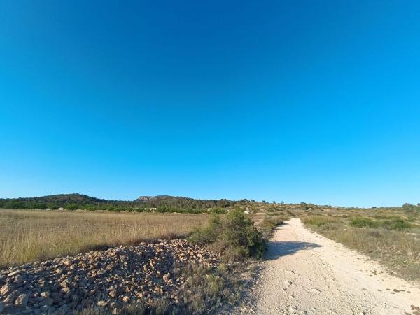 Terreno en Camino del Hondo, 830, Monovar thumbnail 2