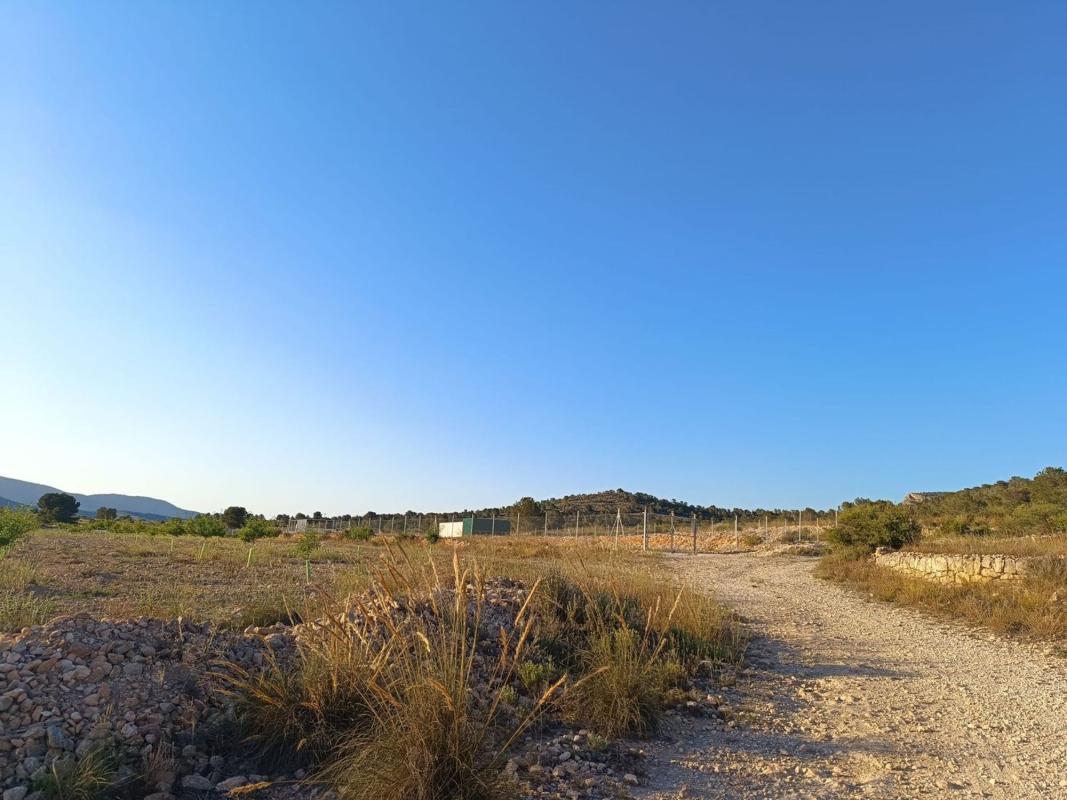 Land for sale in Monovar, Alicante photo 5