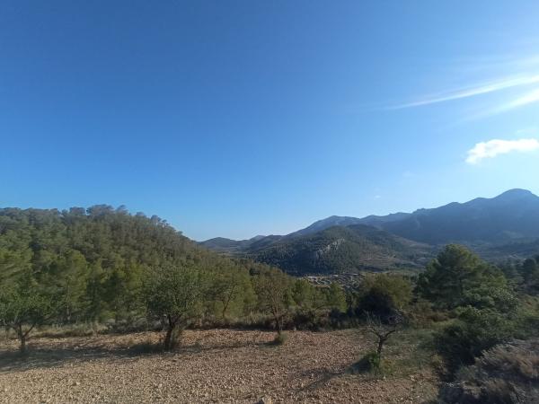 Terreno en Partida Gralles s/n, Relleu photo 3