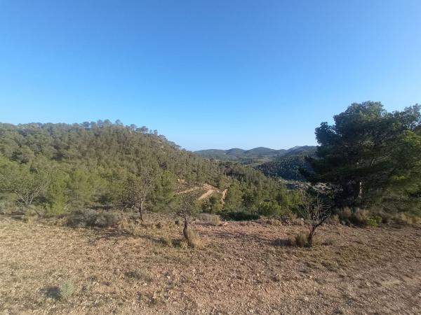 Terreno en Partida Gralles s/n, Relleu photo 4