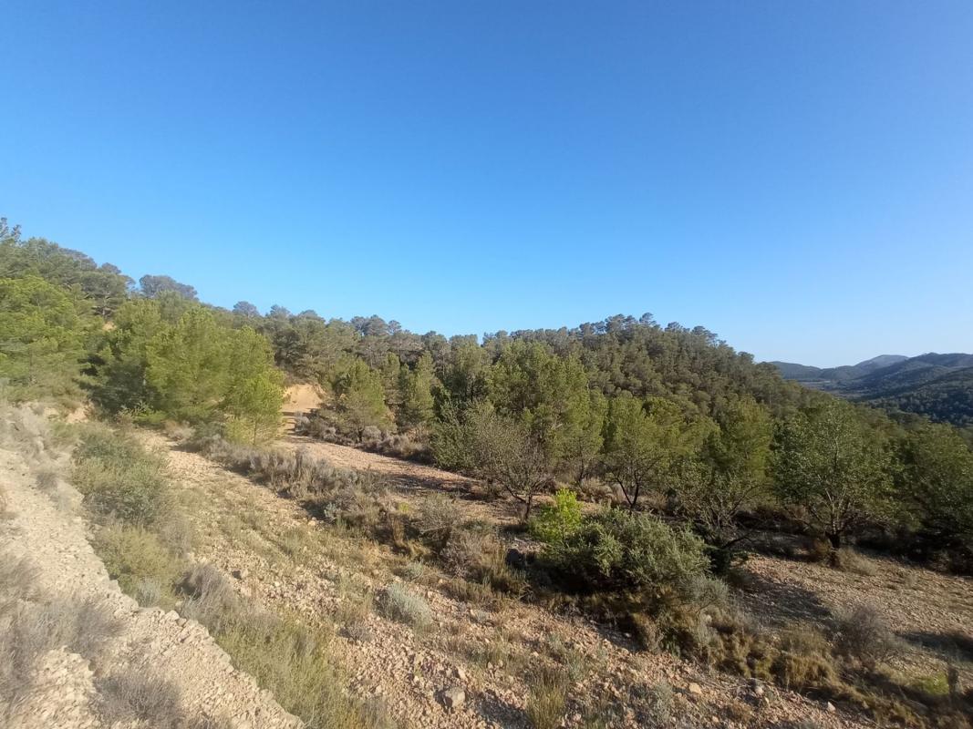 Działka na sprzedaż w Relleu, Alicante photo 5