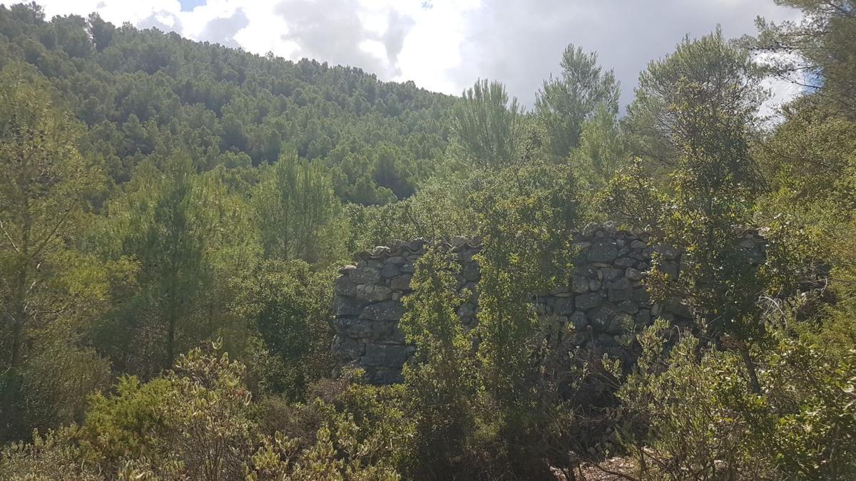Terreno en venta en Torremanzanas, Alicante photo 2