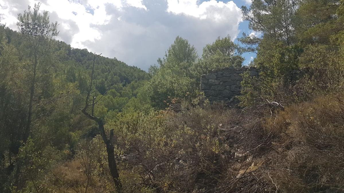 Terreno en venta en Torremanzanas, Alicante photo 4