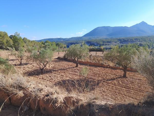 Terreno en Tibi photo 1