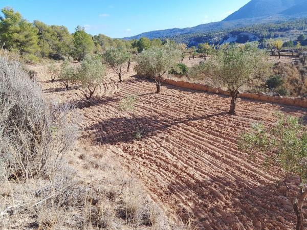 Terreno en Tibi photo 2