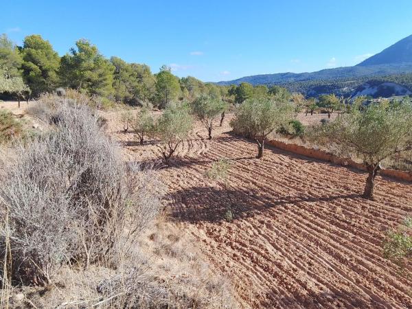 Terreno en Tibi photo 3