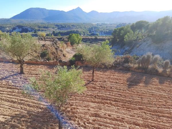 Terreno en Tibi photo 4