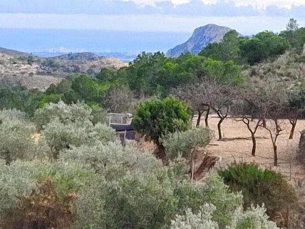 Terreno en Tibi photo 1