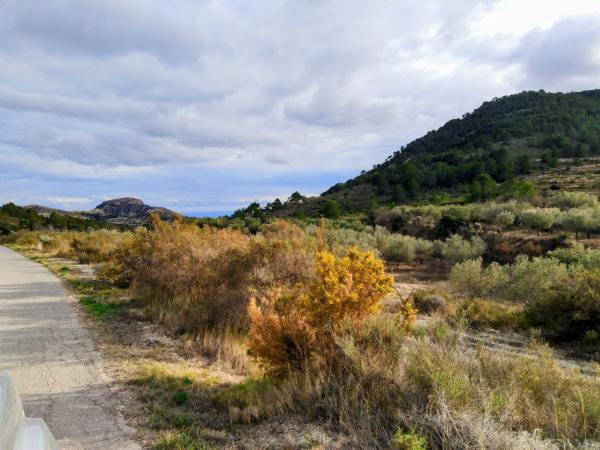 Terreno en Tibi photo 3