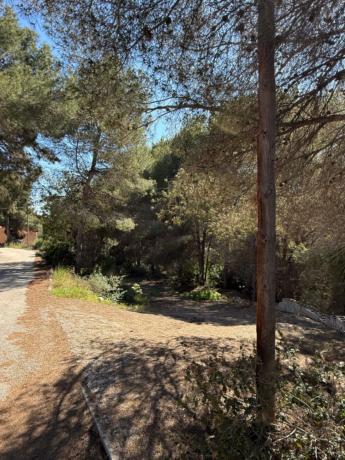 Terreno en Cala Advocat - Baladrar, Benissa photo 1