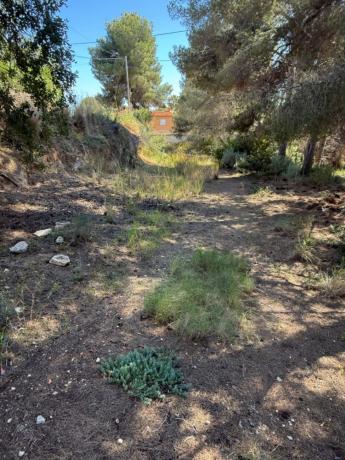 Terreno en Cala Advocat - Baladrar, Benissa photo 4