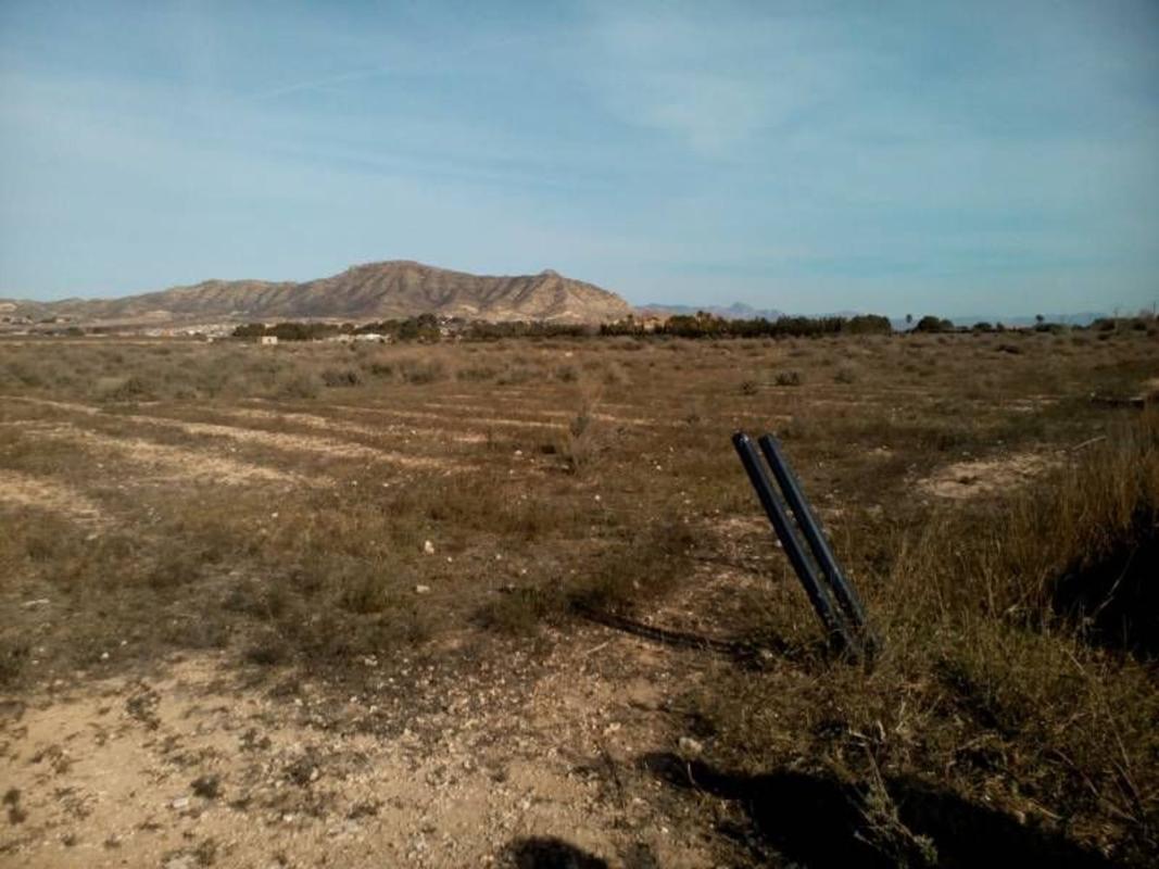 Terreno en venta en Aspe, Alicante photo 1