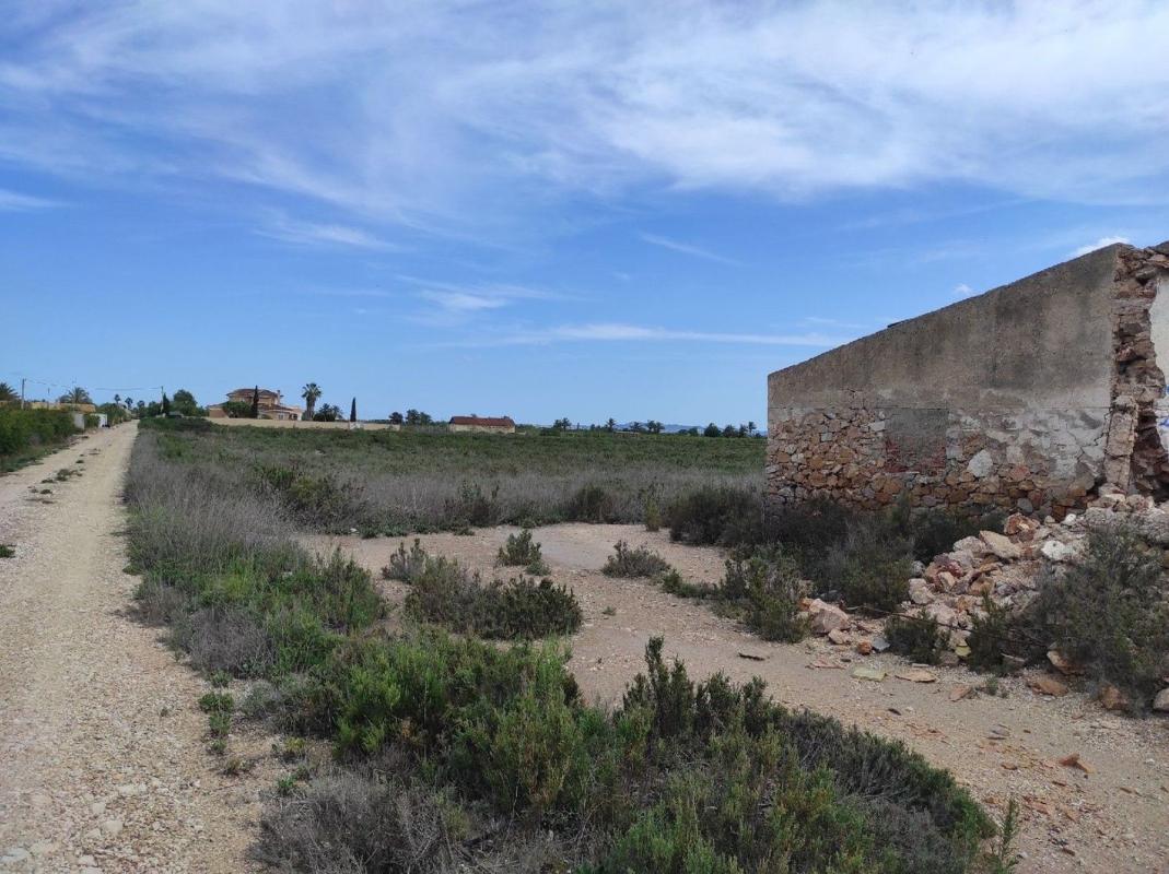 Działka na sprzedaż w Crevillente, Alicante photo 5