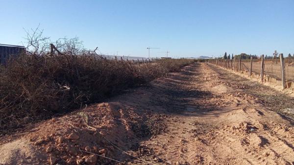 Terreno en Zona Pueblo, Pilar de la Horadada thumbnail 3