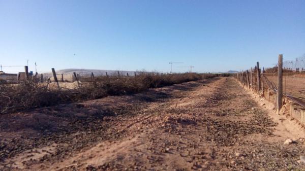 Terreno en Zona Pueblo, Pilar de la Horadada photo 4