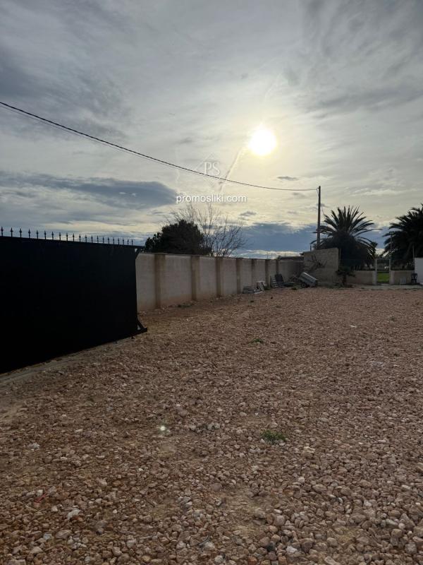 Land for sale in Catral, Alicante photo 1