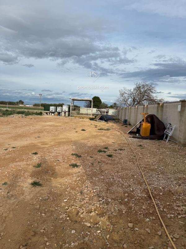 Land for sale in Catral, Alicante photo 2