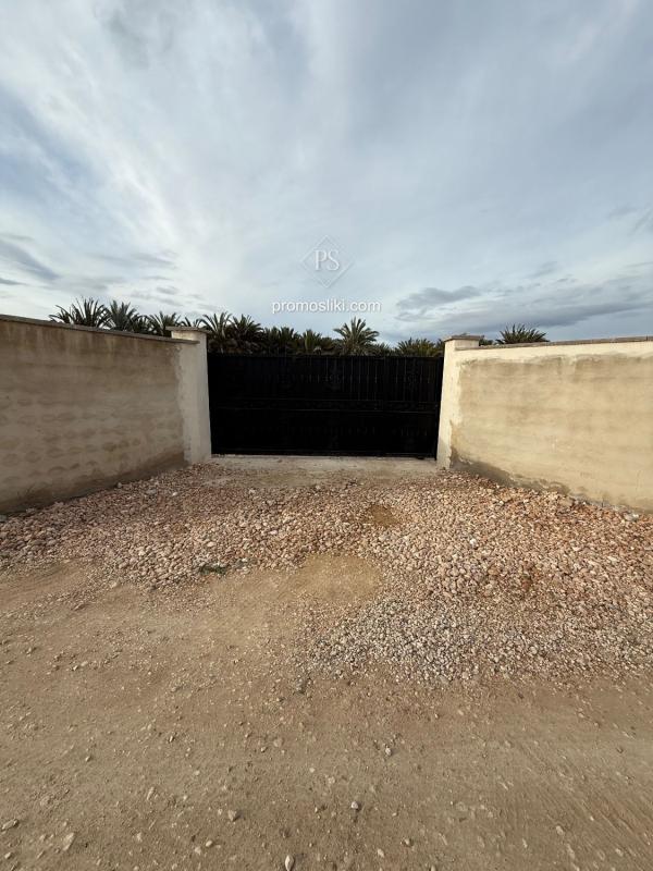 Land for sale in Catral, Alicante photo 3