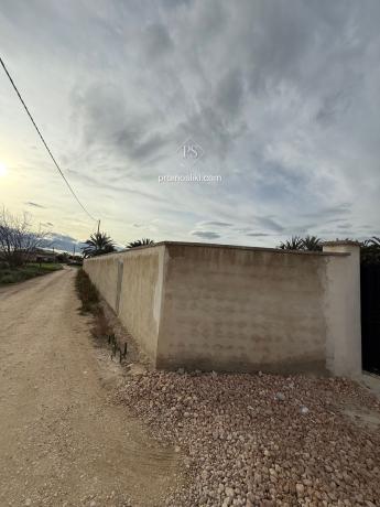 Terreno en Camino del Hondo, Catral photo 4