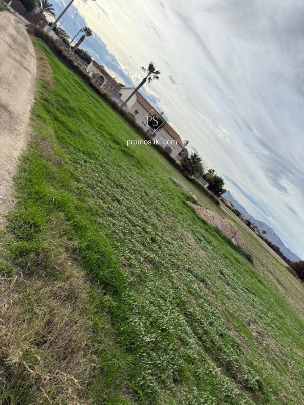 Land for sale in Catral, Alicante photo 5