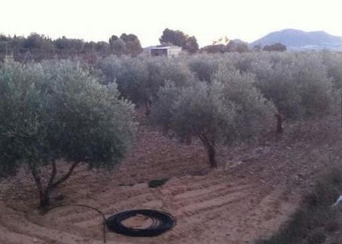 Terreno en venta en Sax, Alicante photo 1