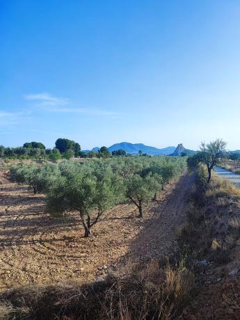 Terreno en Carretera Sax-castalla, km 3, Sax thumbnail 2