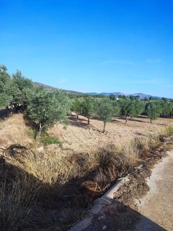 Terreno en Carretera Sax-castalla, km 3, Sax thumbnail 3