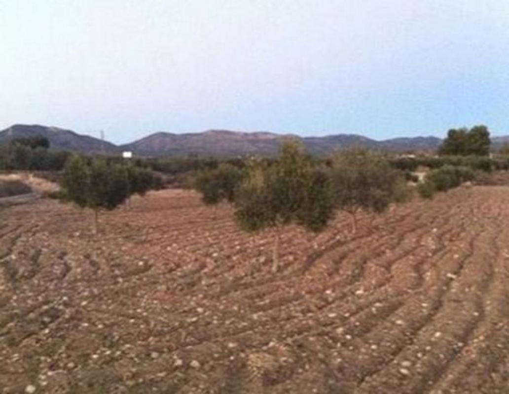 Terreno en venta en Sax, Alicante photo 4
