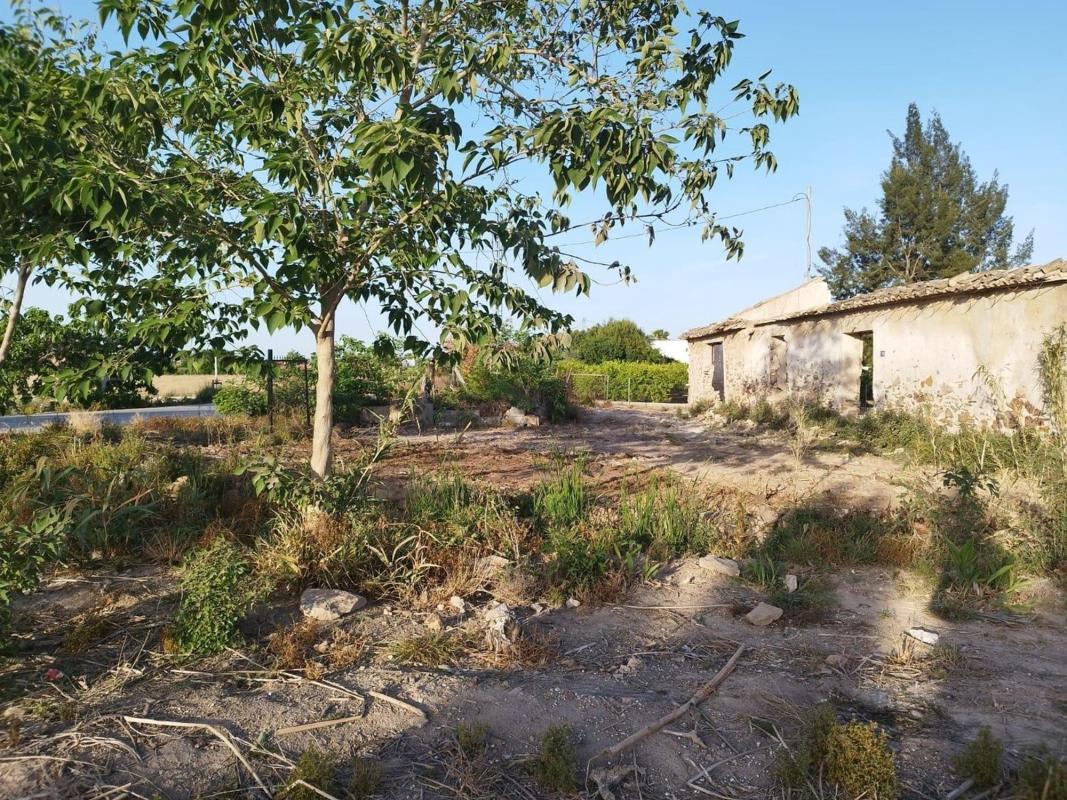 Działka na sprzedaż w Catral, Alicante photo 4