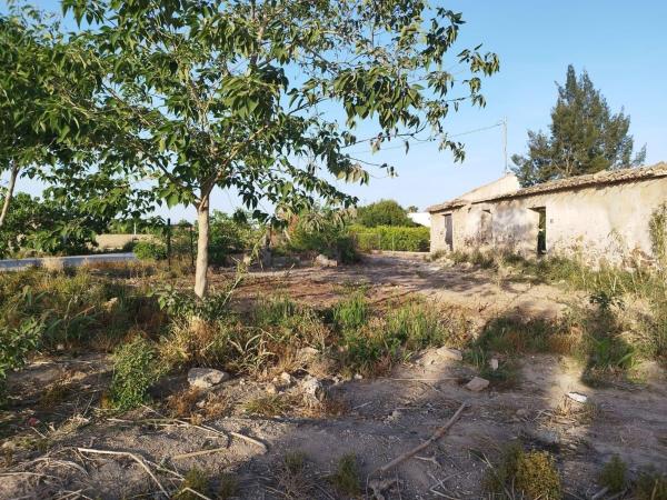Terreno en Catral photo 4