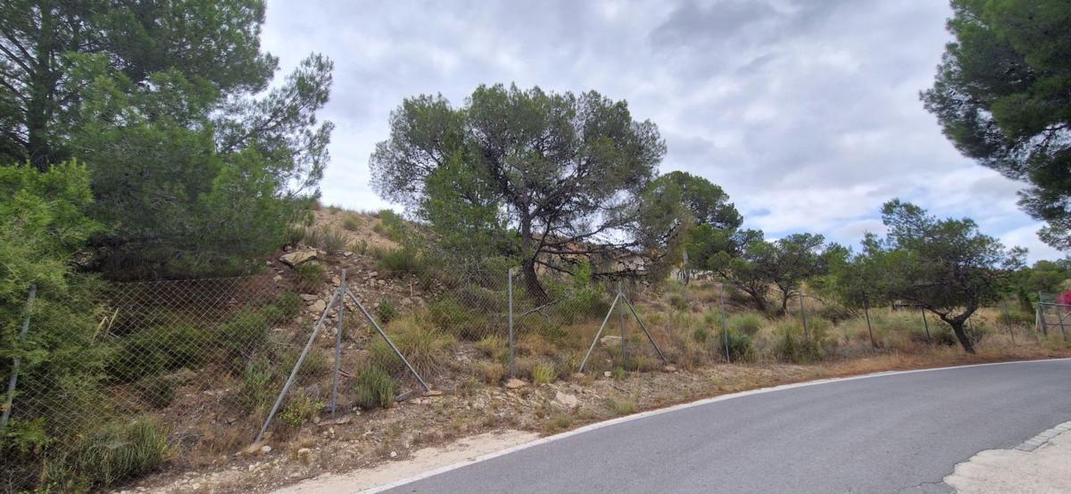 Działka na sprzedaż w Moralet, Alicante photo 1