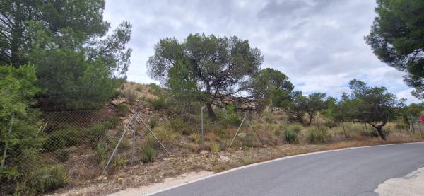 Terreno en Calle Reno, 8, Moralet photo 1