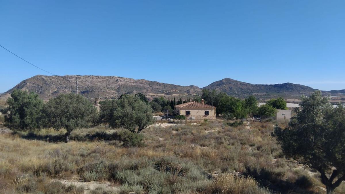 Terreno en venta en Agost, Alicante photo 2
