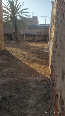 Terreno en Calle Novelda, 9, El Castillo, Aspe photo 4