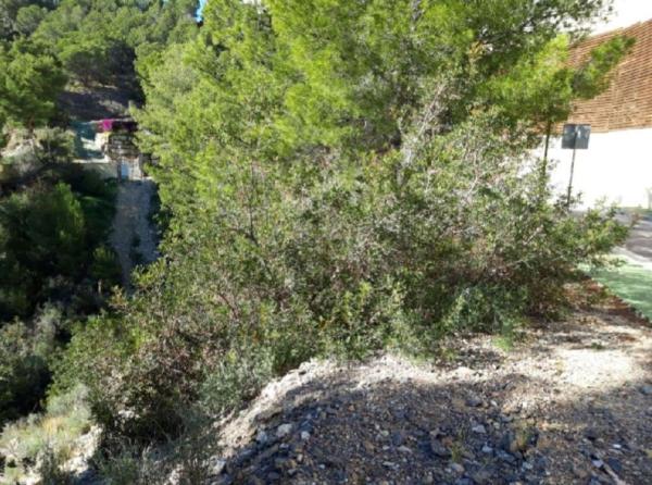 Terreno en Altea Hills, Altea photo 4