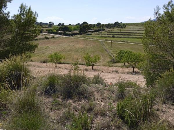 Terreno en caballusa, km 14, Pinoso photo 1