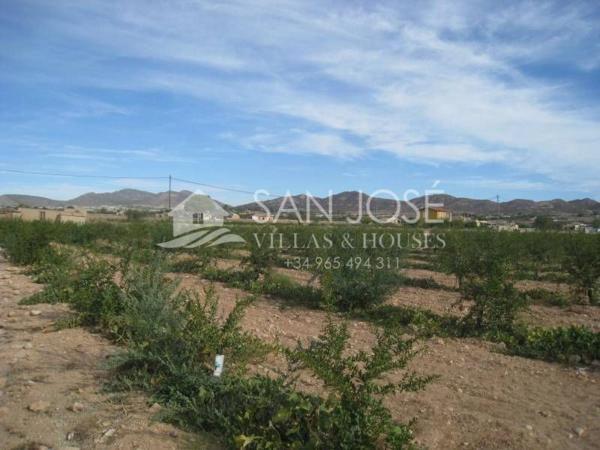 Terreno en San Juan, Aspe photo 1