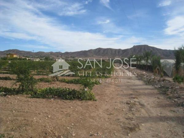 Terreno en San Juan, Aspe thumbnail 2