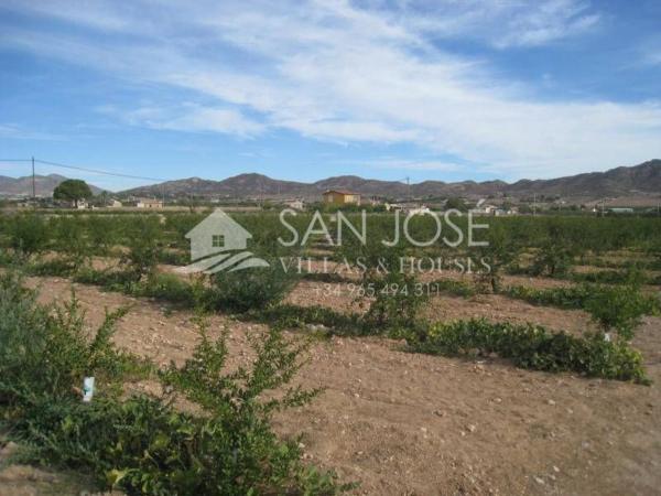 Terreno en San Juan, Aspe thumbnail 3