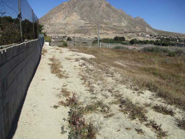 Terreno en Calle las Almenaras, 3, Ciudad de Asís - Font-Calent - El Bacarot, Alicante / Alacant thumbnail 3