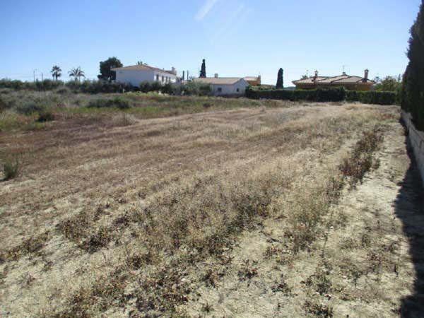 Terreno en Calle las Almenaras, 3, Ciudad de Asís - Font-Calent - El Bacarot, Alicante / Alacant photo 4